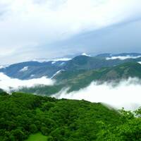 جنگل‎های ارسباران